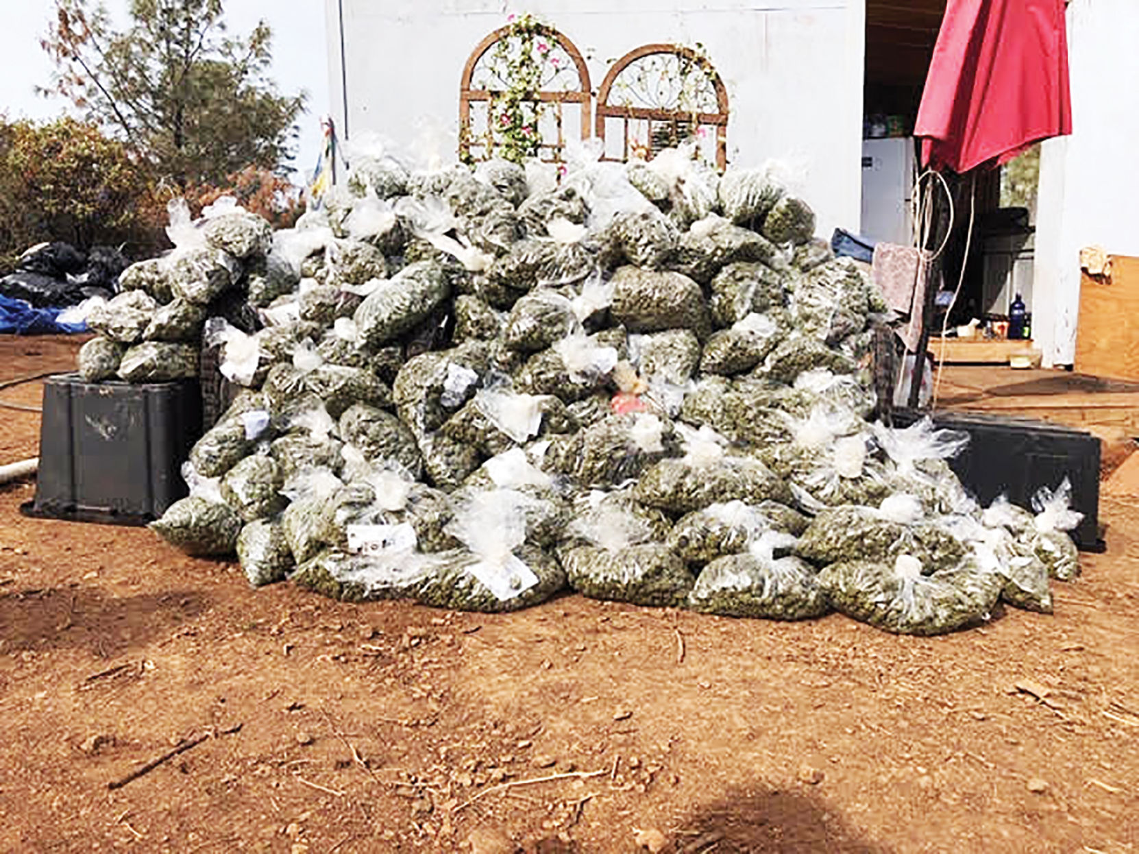 Oregon House pot bust